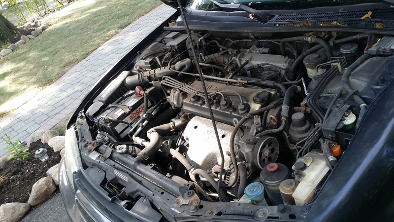 Illustration for article titled Here's How To Clean Your Dirty-Ass Engine Bay Without Screwing It Up